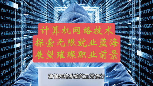 計算機網絡技術 探索無限就業藍海，展望璀璨職業前景